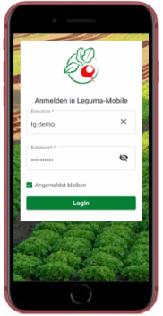 m login small